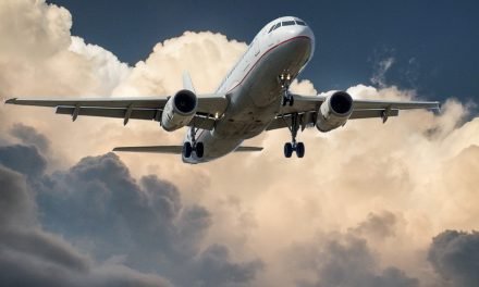 ¿Cuánto gana una Azafata en Estados Unidos EN 2021?